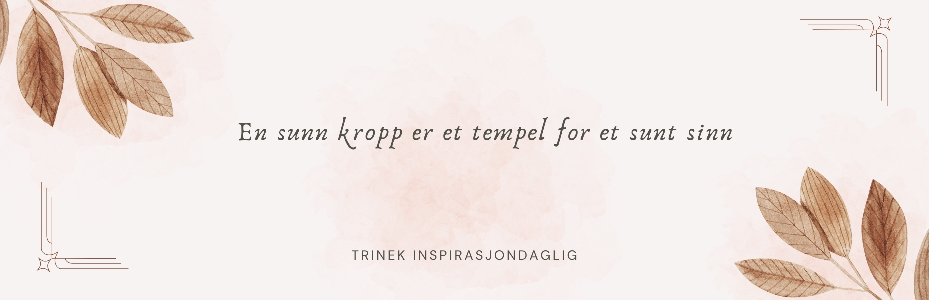 inspirasjondaglig-banner-1
